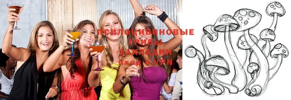 дживик Алзамай