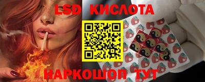 дурь Камышлов