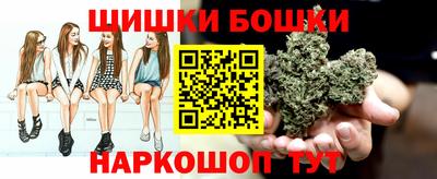 дурь Камышлов