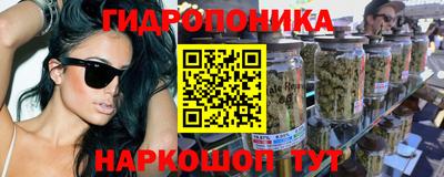 дурь Камышлов