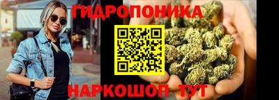 скорость Кандалакша