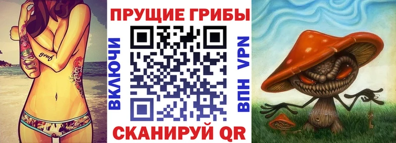 купить наркотик  Учалы  Галлюциногенные грибы Psilocybine cubensis 