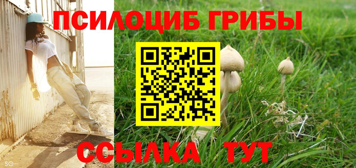 Псилоцибиновые грибы мухоморы  где купить наркоту  Учалы  Вход с VPN 